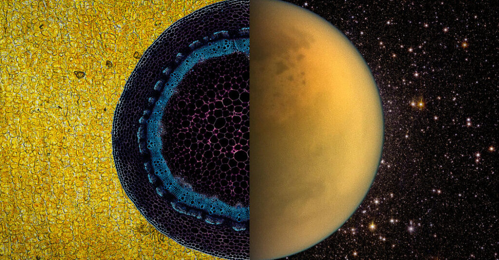 Exactly How Much Life is on Earth?