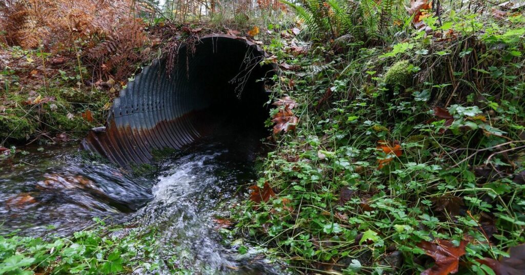 Take away culverts for WA’s local weather resiliency