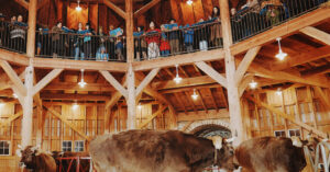 A Particular Christmas Briefing – The New York Instances