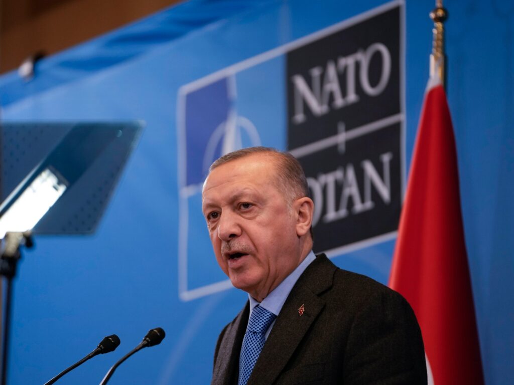 Turkish parliament’s overseas affairs fee approves Sweden’s NATO bid | NATO Information