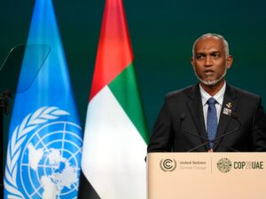 ‘India out’: Maldives president eyes Center East companions with early journeys | Politics