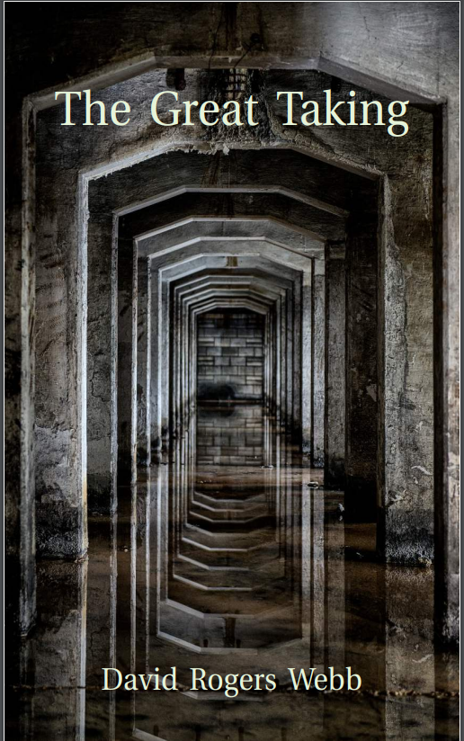 The Nice Taking – Or The Nice False impression The Nice Taking – Or The Nice False impression