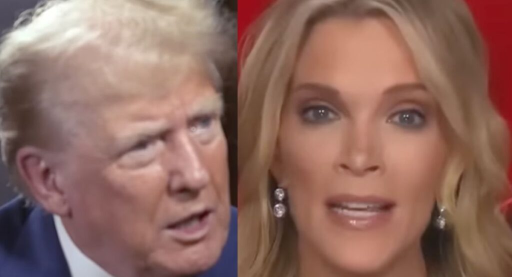 Trump Torches Megyn Kelly As ‘Greatest Loser’ After She Claims He is Not As ‘Mentally Sharp’ As He Was