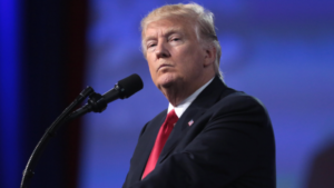 Whose Celebration? Republicans Assist Democrats Go Invoice to Cease Trump From Unilaterally Withdrawing From NATO