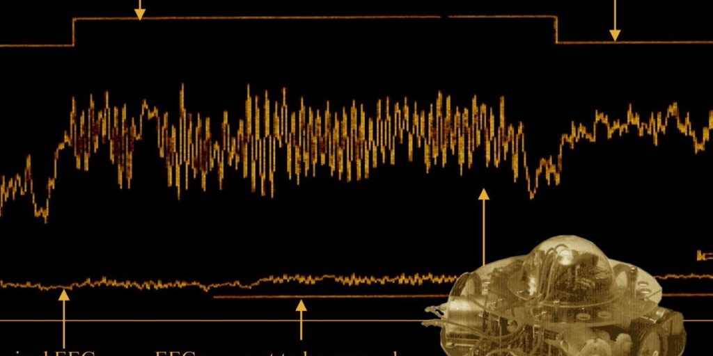 35 Years In the past, Researchers Used Mind Waves to Management a Robotic 35 Years In the past, Researchers Used Mind Waves to Management a Robotic