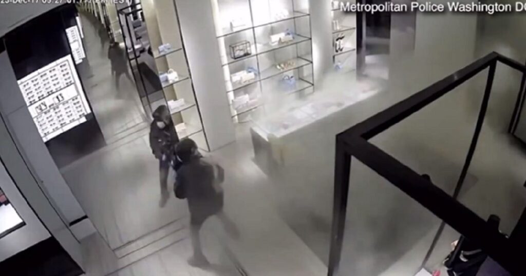 Video Exhibits Hearth Extinguisher-Aided Theft of Excessive-Finish Retailer, Police Ask Public for Assist | The Gateway Pundit