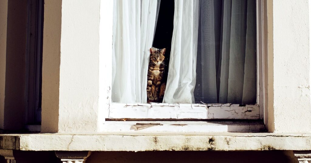 Right here’s Scientific Proof Your Cat Will Eat Virtually Something