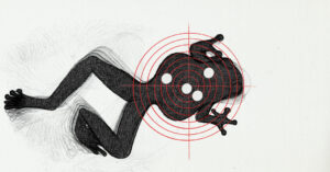 Opinion | Why Are Frogs and Different Amphibian Species Disappearing Worldwide?