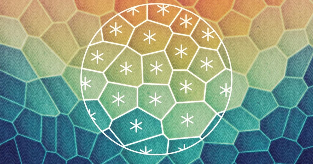 Biophysicists Uncover Highly effective Symmetries in Residing Tissue
