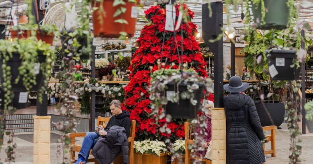 Molbak’s was rather more than a house and backyard retailer
