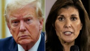 Trump projected to defeat Haley in New Hampshire to maneuver nearer to White Home nomination