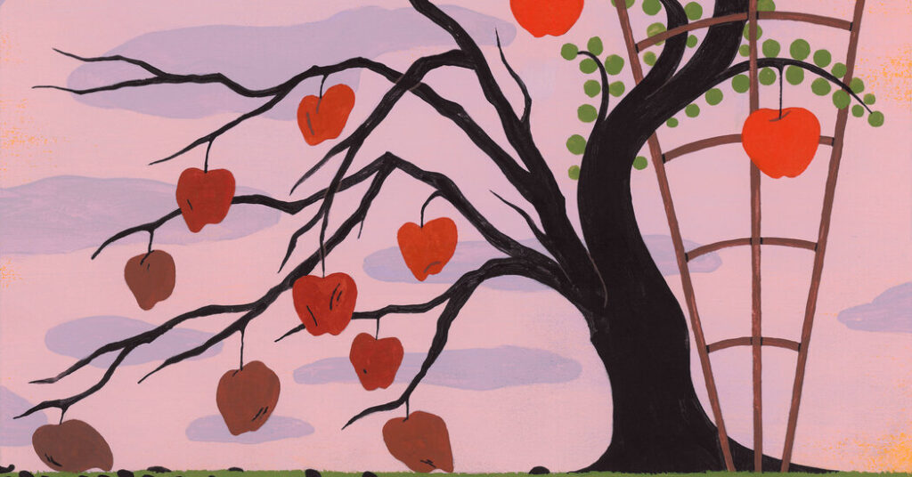 Opinion | What the Youngster Care Disaster Does to Mother and father