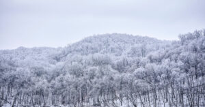 Opinion | When the Sky Provides an Sudden Reward of Time