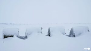 ‘Intense’ US blizzard blows Iowa caucus campaigning off target