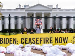 US federal employees danger livelihoods in push for course change on Gaza warfare | Israel Struggle on Gaza Information