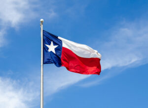 Texas Can Survive As The Lone Star State