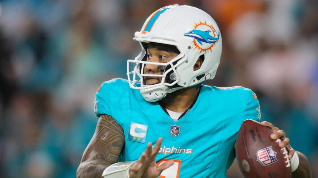 Dolphins can be sensible to remain the course