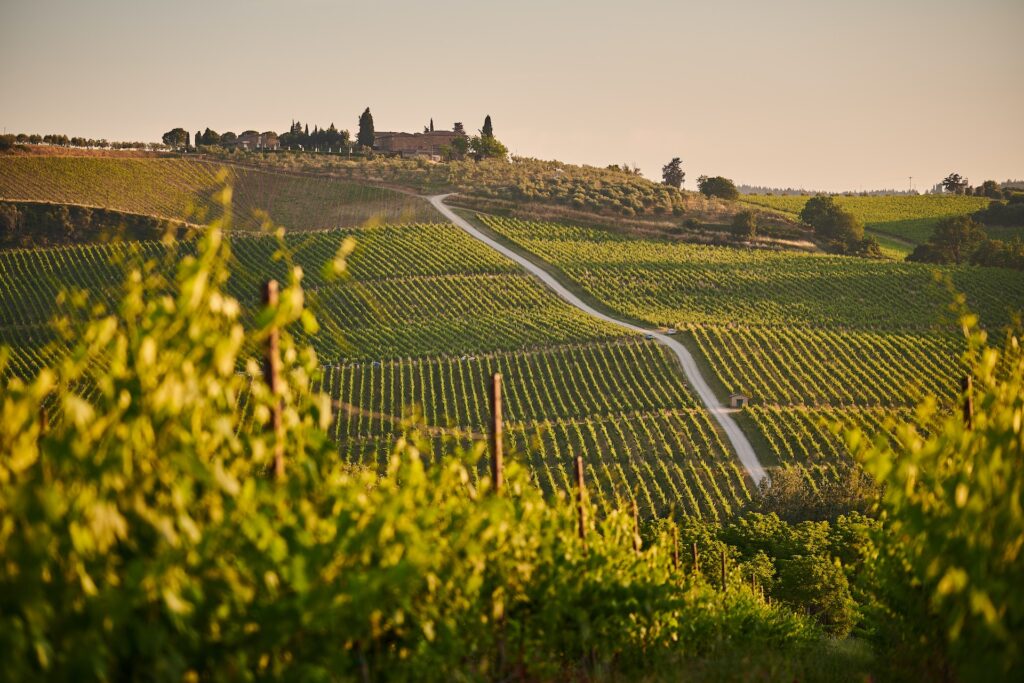 Unique Retreats: Luxurious Villa Leases in Tuscany, Italy