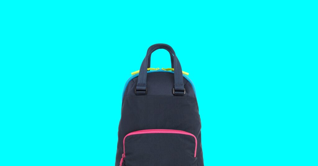 Eco-Pleasant Recycled Luggage (2024): Totes, Purses, Procuring Luggage