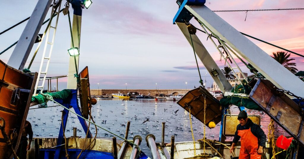 Trawling Boats Are Hauling Up Historic Carbon From the Ocean Depths Trawling Boats Are Hauling Up Historic Carbon From the Ocean Depths