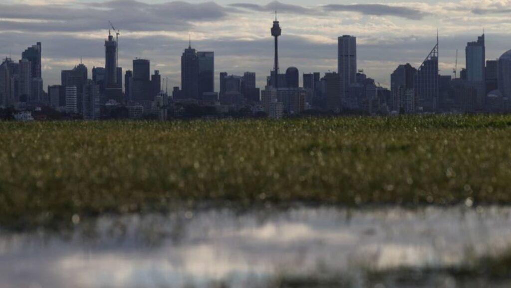 Australian authorities say extra Sydney colleges tainted with asbestos