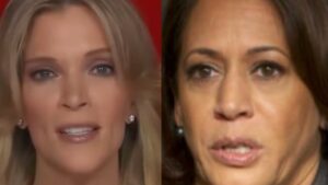 Megyn Kelly Skewers Media For Blaming Kamala Harris’ Unpopularity On Her Pores and skin Colour