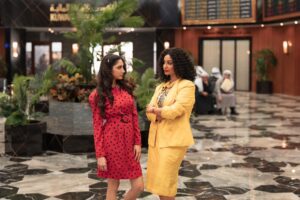 Netflix MENA Slate Options New Seasons Of The Alternate, Dubai Bling – Deadline