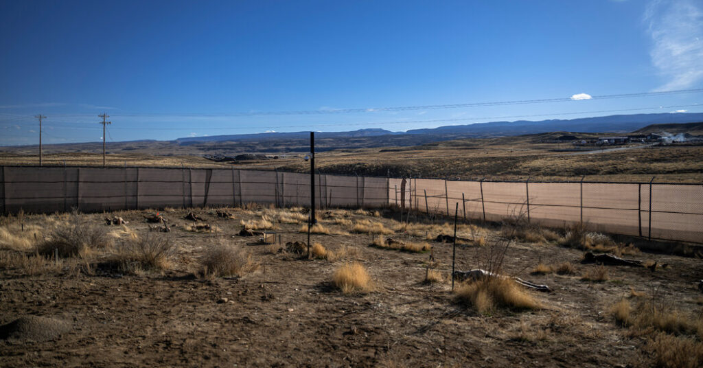 How a ‘Physique Farm’ Would possibly Assist Deal with Fentanyl Abuse