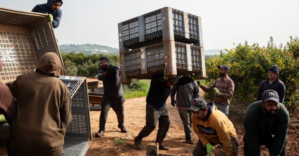 Portugal Had Little Urge for food for the Far Proper, Till Chega Portugal Had Little Urge for food for the Far Proper, Till Chega