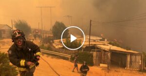 ‘No Water within the Hydrants’: Communities Left Defenseless Towards Chile’s Deadliest Wildfire