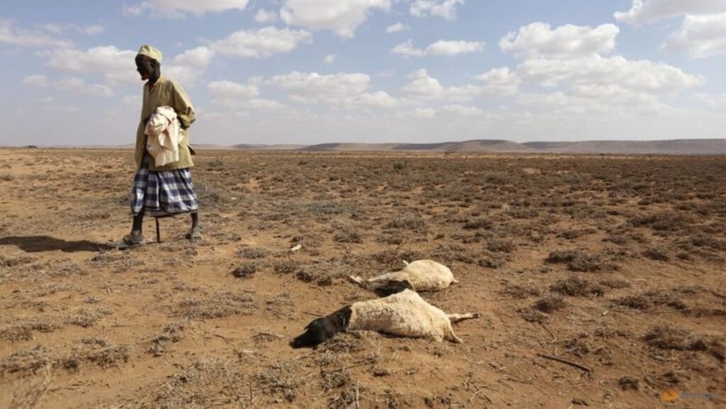El Nino weakens however will maintain temperatures excessive, UN climate company says