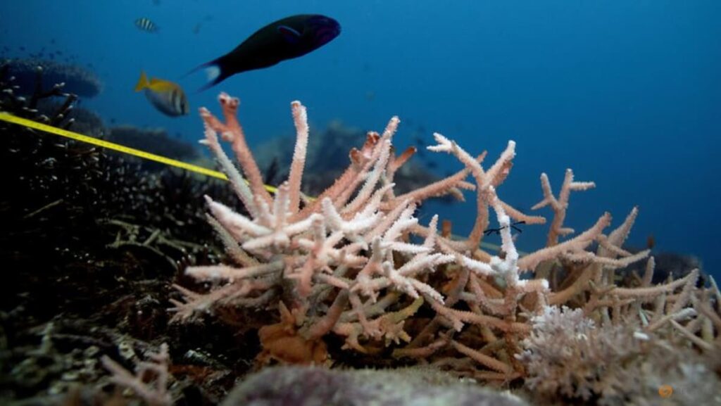 UN sounds ‘Pink Alert’ as world smashes warmth information in 2023