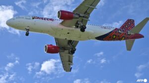 Batik Air pilots fell asleep mid-flight: Indonesian air security company