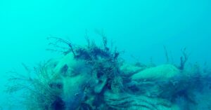 Unlawful Trawlers Are No Match for Undersea Sculptures
