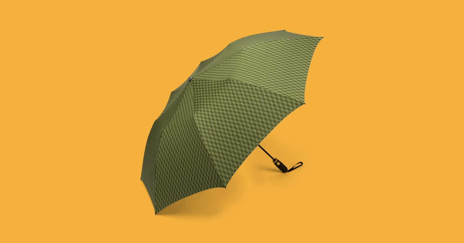 12 Finest Umbrellas (2023): Windproof, Low cost, Tiny, and Clear Bubble