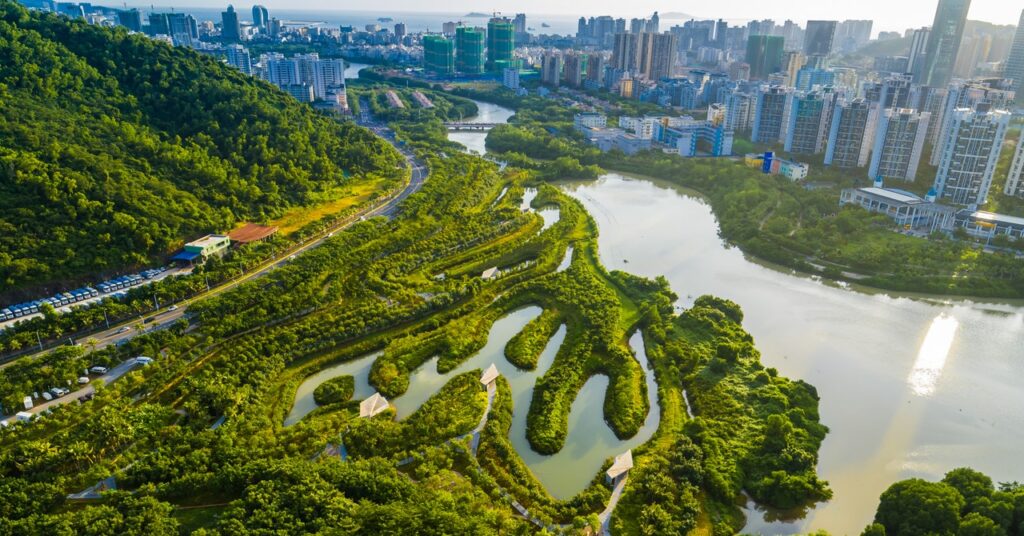 The Designer Who’s Attempting to Rework Your Metropolis Right into a Sponge