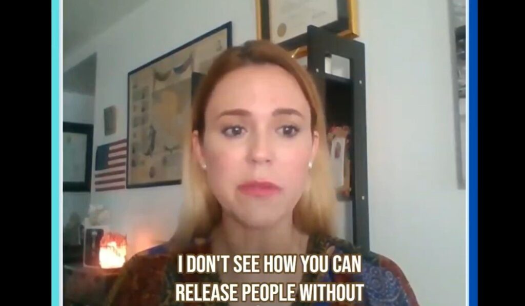 Immigration Lawyer Maria Herrera Mellado Calls on US Authorities to Create an Workplace to Examine Immigration Fraud “As a result of It is Rampant” (VIDEO) | The Gateway Pundit