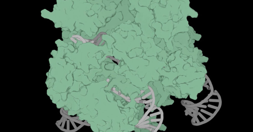 Generative A.I. Arrives within the Gene Enhancing World of CRISPR