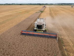Ukraine’s agriculture minister suspected of corrupt land seize | Corruption Information