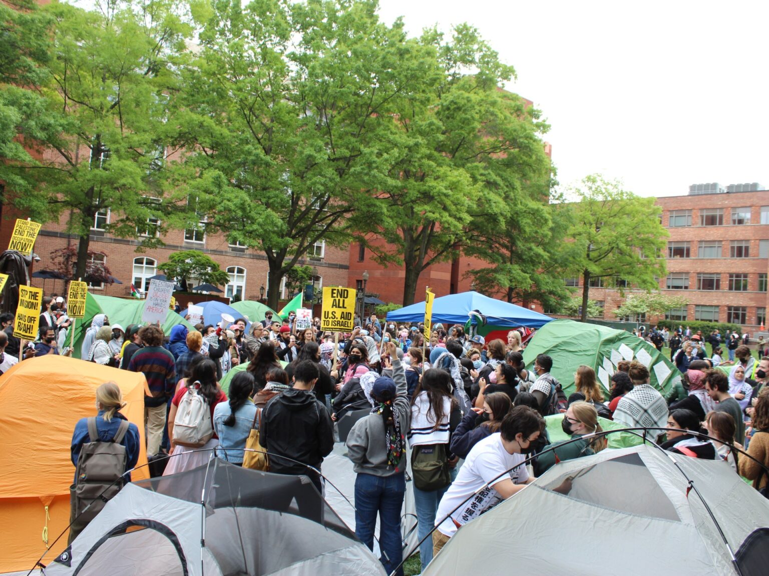 Blocks from the White Home, US college students stand steadfast with Gaza | Israel Warfare on Gaza Information