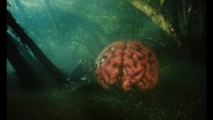 Ari Aster Calls Cate Blanchett Cannes Comedy ‘Rumours’ “Hilarious”