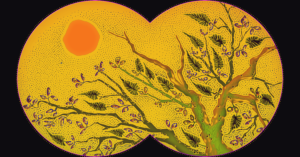 Opinion | H5N1 Already Killed Tens of millions of Birds. People Share the Blame.