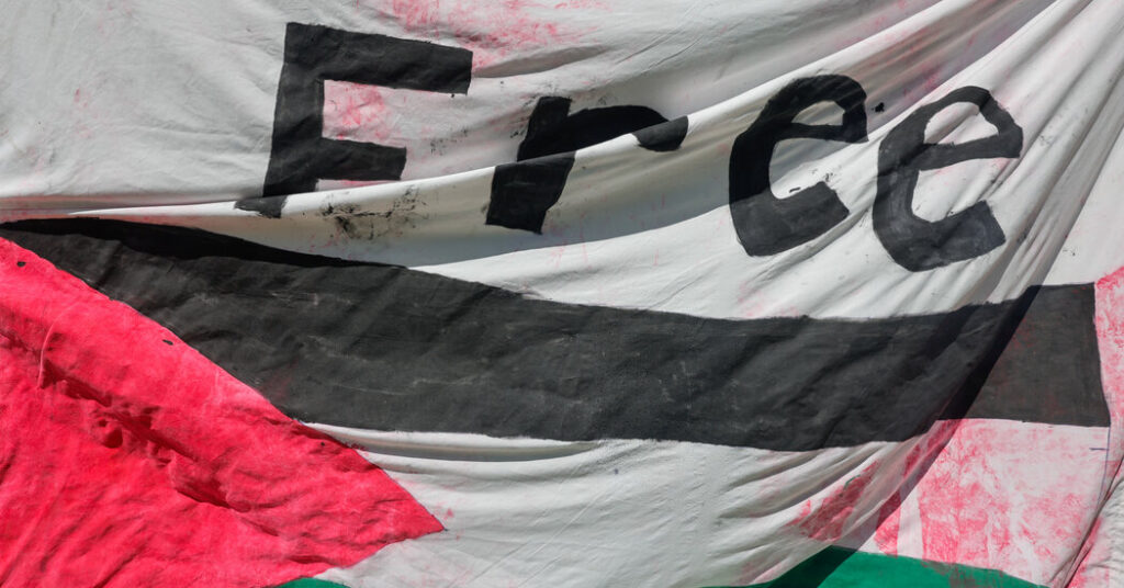 Opinion | What a ‘Free Palestine’ Means in Apply