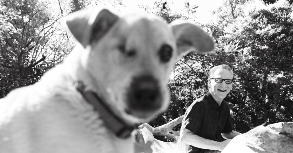 Opinion | The Fact Hurts — Particularly When Invoice Maher Dishes It Out Opinion | The Fact Hurts — Particularly When Invoice Maher Dishes It Out