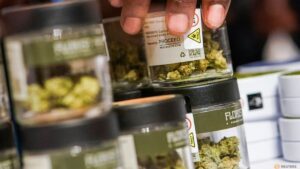 US drug enforcers to ease restrictions on hashish, AP reviews