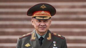 Putin removes defence minister Shoigu