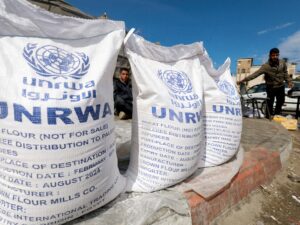 UNRWA says meals distribution in Rafah suspended, citing insecurity | Israel Battle on Gaza Information