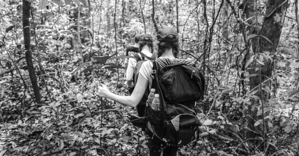 Opinion | Ladies at Work, and With Their Households Too