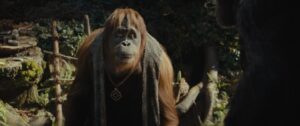 ‘Kingdom of the Planet of the Apes’ Eyes M+ Previews