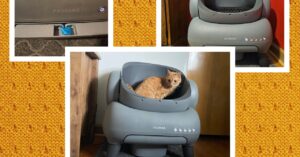 Neakasa M1 Self-Cleansing Litter Field Assessment: Automated No-Scoop Cleansing